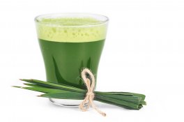 Erba d'Orzo in Polvere - Nuova Zelanda - 4