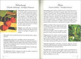 Erbaccia Sarai Tu! — Libro - 3