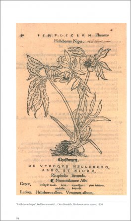 Erbari — Libro - 3