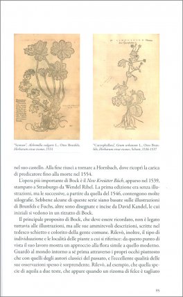 Erbari — Libro - 4
