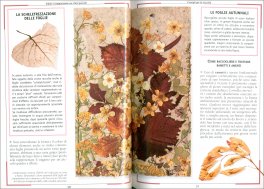 Erbari e Composizioni con Fiori Pressati — Libro - 3
