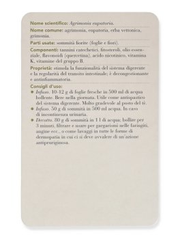 Erbario - Cofanetto con 101 Schede e 6 Divisori — Libro - 7