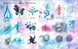 Erbario dei Miei Sogni — Libro - 3