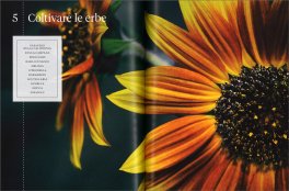 Erbario - Guida Completa alle Piante Officinali e ai Loro Benefici — Libro - 3