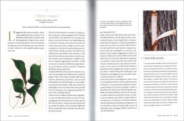 Erbario - Guida Completa alle Piante Officinali e ai Loro Benefici — Libro - 4