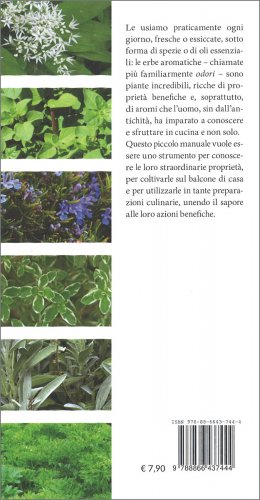 Erbe Aromatiche — Libro - 2