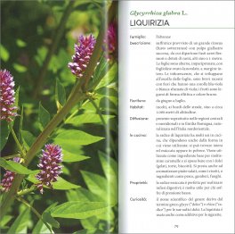 Erbe Aromatiche — Libro - 3