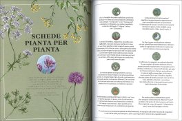 Erbe Aromatiche — Libro - 4
