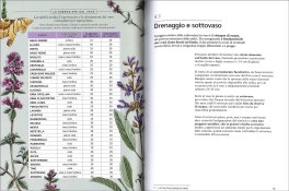 Erbe Aromatiche — Libro - 3