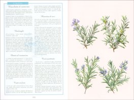Erbe Buone per la Salute — Libro - 3