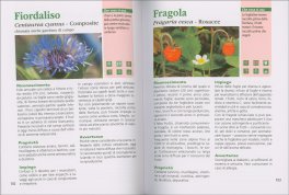 Erbe che Curano — Libro - 3