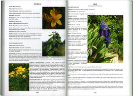 Erbe Consentite Erbe Proibite — Libro - 2