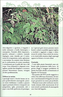 Erbe di Campo — Libro - 3