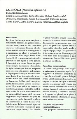 Erbe di Campo — Libro - 4