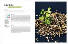 Erbe e Piante Adattogene — Libro - 4