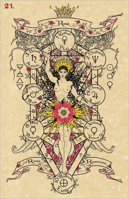 Erbe E Piante Magiche Oracolo. Piante Magiche Dal Giardino Della Strega - 4
