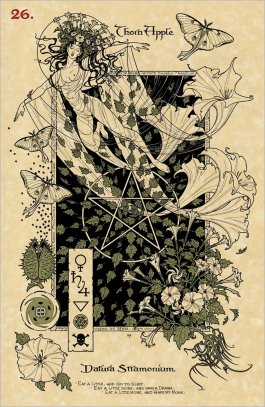 Erbe E Piante Magiche Oracolo. Piante Magiche Dal Giardino Della Strega - 6