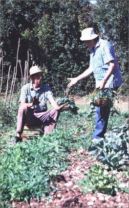 Erbe e Sapori in Cucina — Libro - 3