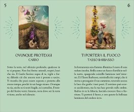 Erbe e Streghe Oracolo - 5