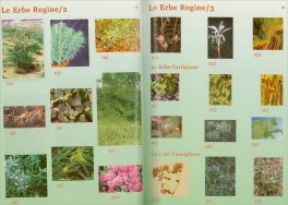 Erbe Erotiche — Libro - 4