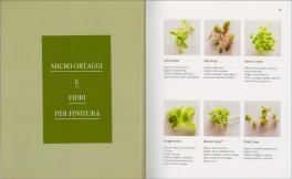 Erbe Fiori Germogli & Micro-Ortaggi — Libro - 4