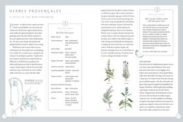 Erbe per il Giardiniere Gourmet — Libro - 3