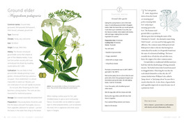 Erbe per il Giardiniere Gourmet — Libro - 4