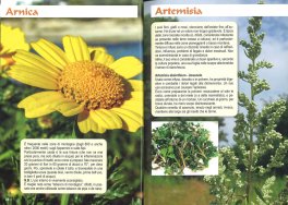 Erbe & Piante Officinali — Libro - 3