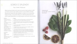 Erbe Sacre per la Pulizia Energetica — Libro - 3