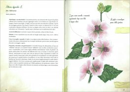 Erbe Selvatiche — Libro - 3