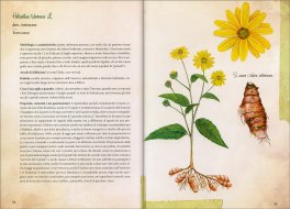 Erbe Selvatiche — Libro - 3
