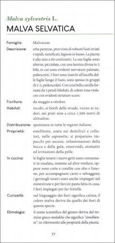Erbe Spontanee — Libro - 3