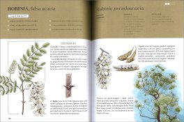 Erbe Spontanee — Libro - 3