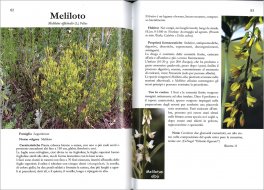 Erbe Spontanee Commestibili — Libro - 3