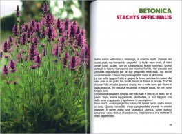 Erbe Spontanee e Aromatiche dell'Emilia Romagna — Libro - 3