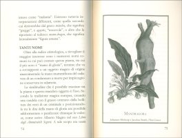 Erbe Stregate — Libro - 3