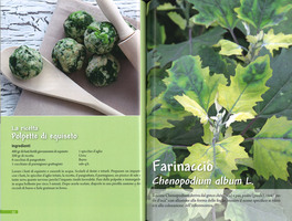 Erbette che Passione! — Libro - 3