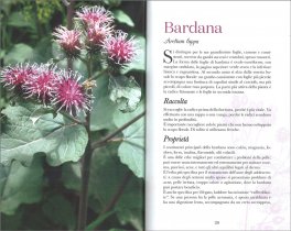 Erbette dell'Appennino — Libro - 3