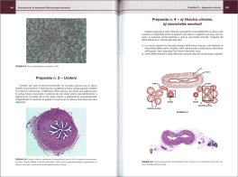 Esercitazioni di Anatomia Microscopica Normale — Libro - 3