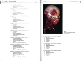 Eserciziario di Anatomia Umana — Libro - 3