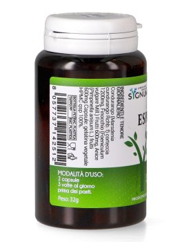 Espineira - Stomaco - 3
