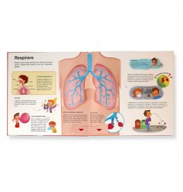 Esploriamo il Corpo Umano Pop-Up — Libro - 2