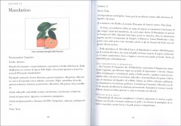 Essenze Divine — Libro - 3