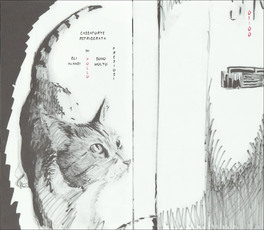 Essere Gatto e Tempo — Libro - 3