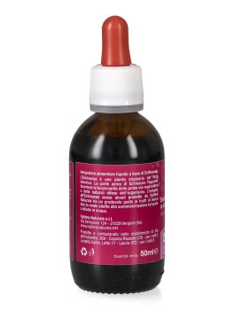Estratto di Echinacea Purpurea in Acqua Junior - No Alcool - 4