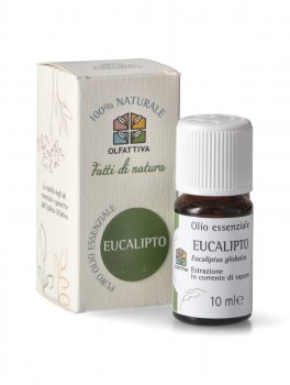 Eucalipto - Olio Essenziale - 3