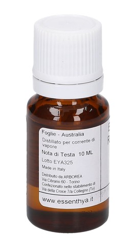 Eucalipto Radiata Bio - Olio Essenziale Puro - 3