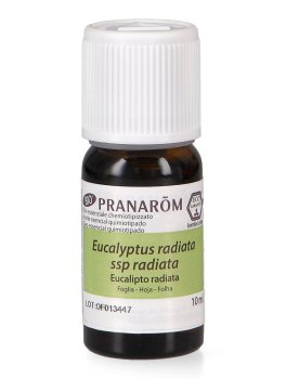 Eucalipto Radiata - Olio Essenziale - 4
