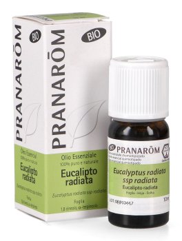 Eucalipto Radiata - Olio Essenziale - 1