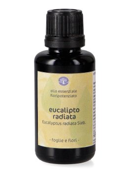 Eucalipto Radiata - Olio Essenziale Floripotenziato - 1